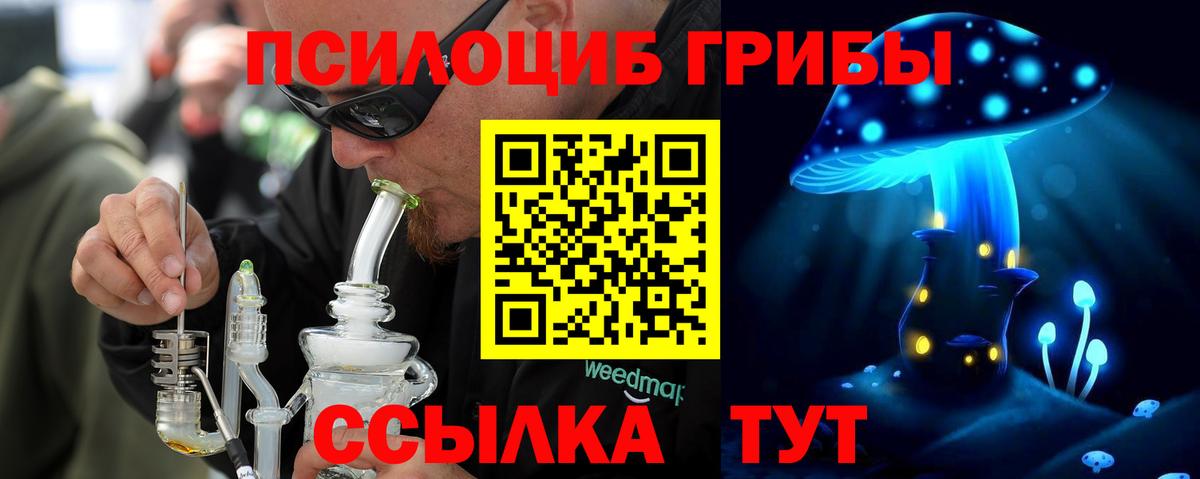 Псилоцибиновые грибы Psilocybine cubensis  Вход с VPN  где можно купить наркотик  Будённовск 